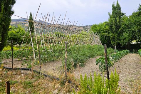 Landejendom i Rute, Cordoba, Rute - € 325.000 | Ref: Ella - foto 44